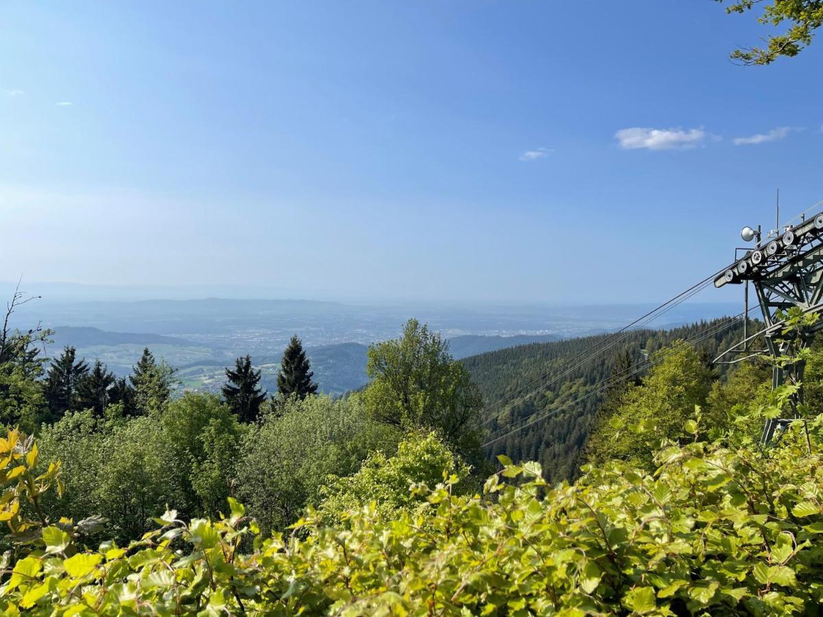 Neue Ferienwohnung Mit Whirlpool Und Sauna In Der Residenz Grafenmatt Inklusive Hochschwarzwaldcard Фельдберг Экстерьер фото